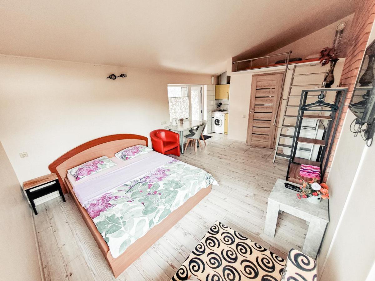 Lampedziai Apartment カウナス エクステリア 写真